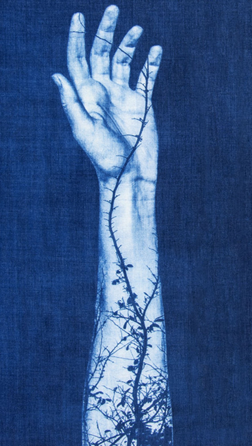 World Cyanotype Day - Sept. 24, 2022