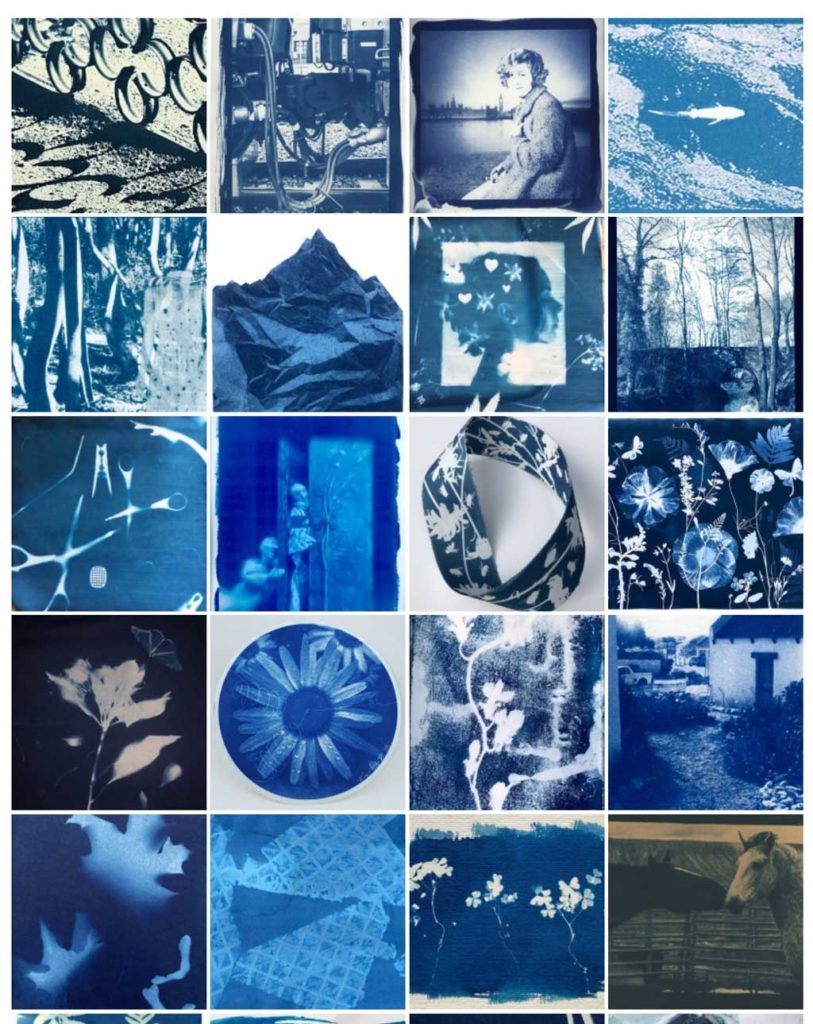 Creating multi-coloured cyanotype prints - Out of the Blue – the world  appears in colour 
